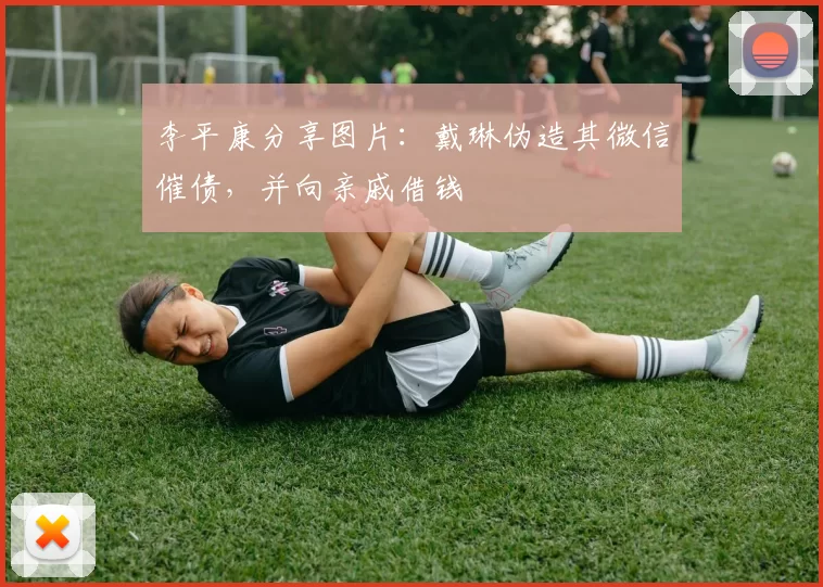 李平康分享图片：戴琳伪造其微信催债，并向亲戚借钱