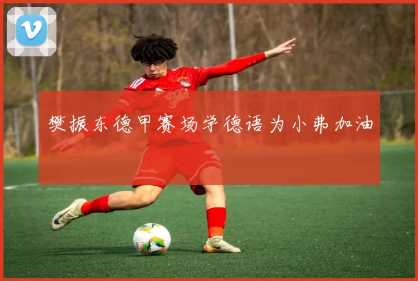 樊振东德甲赛场学德语为小弗加油