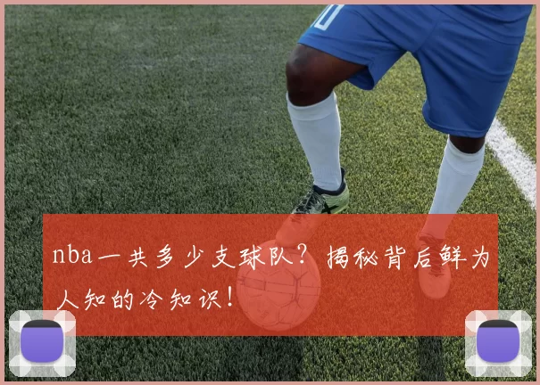 nba一共多少支球队？揭秘背后鲜为人知的冷知识！