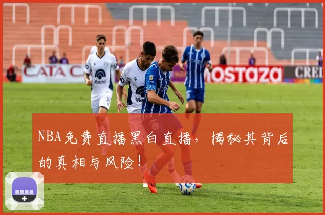 NBA免费直播黑白直播，揭秘其背后的真相与风险！