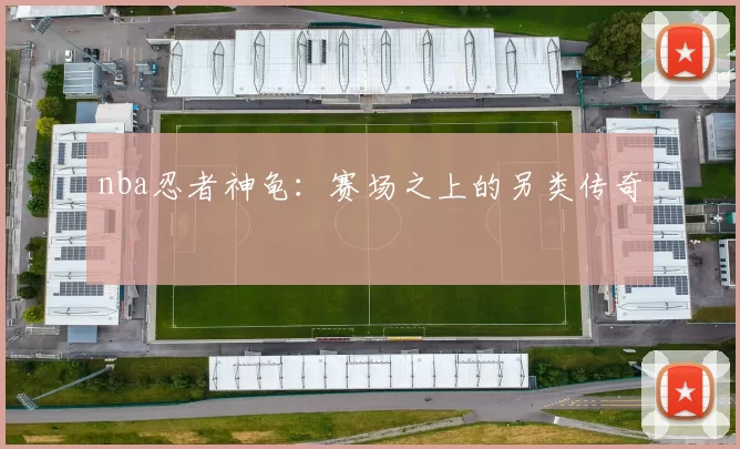 nba忍者神龟：赛场之上的另类传奇