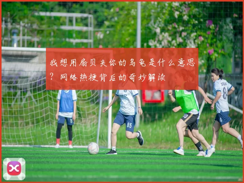 我想用扇贝夹你的乌龟是什么意思？网络热梗背后的奇妙解读