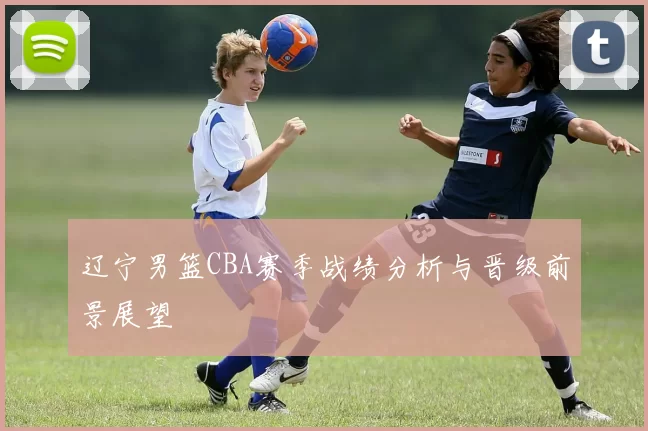 辽宁男篮CBA赛季战绩分析与晋级前景展望