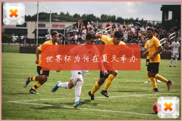世界杯为何在夏天举办